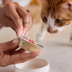 Tiny Tiger Lickables Soup Chicken & Shrimp Recipe In A Creamy Chicken Broth Cat Treat & Topper -Trixie || Catit || Nature's Miracle Shop 345173 PT5. AC SS1800 V1696613953