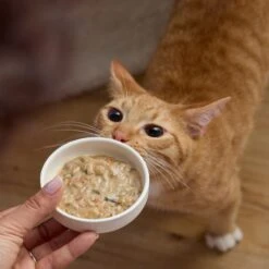 Tiny Tiger Lickables Soup Tuna Recipe In A Creamy Chicken Broth Cat Treat & Topper -Trixie || Catit || Nature's Miracle Shop 345177 PT5. AC SS1800 V1696613955