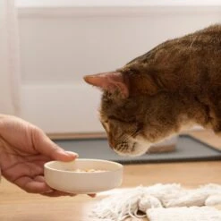 Tiny Tiger Lickables Soup Chicken Recipe In A Creamy Fish Broth Cat Treat & Topper -Trixie || Catit || Nature's Miracle Shop 345179 PT5. AC SS1800 V1696613954