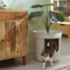 Frisco Hidden Planter Cat Litter Box, 16-in -Trixie || Catit || Nature's Miracle Shop 345566 MAIN. AC SS1800 V1667226956