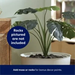 Frisco Hidden Planter Cat Litter Box, 16-in -Trixie || Catit || Nature's Miracle Shop 345566 PT4. AC SS1800 V1668737273