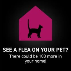 NextStar Fast Acting Cat Flea & Tick Treatment -Trixie || Catit || Nature's Miracle Shop 346077 PT5. AC SS1800 V1644005254