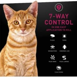 NextStar Fast Acting Cat Flea & Tick Treatment -Trixie || Catit || Nature's Miracle Shop 346077 PT8. AC SS1800 V1645206402