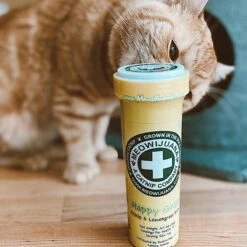 Meowijuana Happy Grass Lemongrass Blend Catnip, 0.92-oz Bottle -Trixie || Catit || Nature's Miracle Shop 346154 PT3. AC SS1800 V1637003218