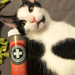 Meowijuana Skull Cap Blend Catnip, 0.92-oz Bottle -Trixie || Catit || Nature's Miracle Shop 346156 PT3. AC SS1800 V1637003223