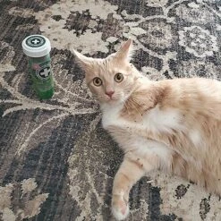 Meowijuana Garden Pawty Dill, Parsley & Valerian Root Blend Catnip, 0.92-oz Bottle -Trixie || Catit || Nature's Miracle Shop 346158 PT5. AC SS1800 V1637004086