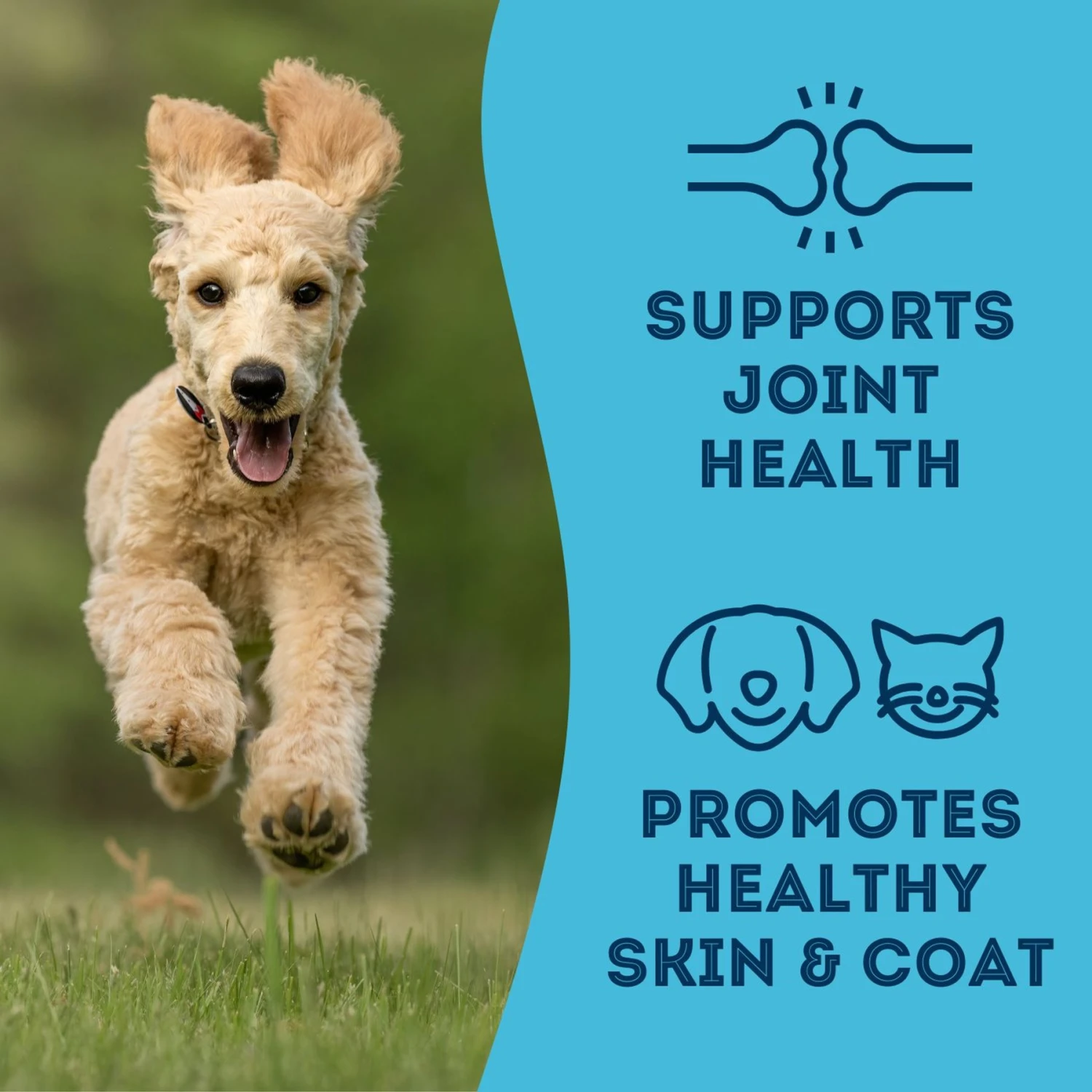 The Granville Island Pet Treatery 'With Love & Fishes Dehydrated Sardine Dog & Cat Treats 7 The Granville Island Pet Treatery 'With Love & Fishes Dehydrated Sardine Dog & Cat Treats - Image 5