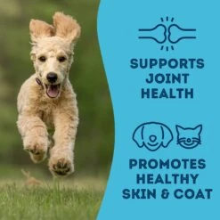 The Granville Island Pet Treatery 'All Of A Sardine I Was Hungry Dehydrated Sardine Dog & Cat Treats, 1.76-oz Bag -Trixie || Catit || Nature's Miracle Shop 347608 PT7. AC SS1800 V1700860400