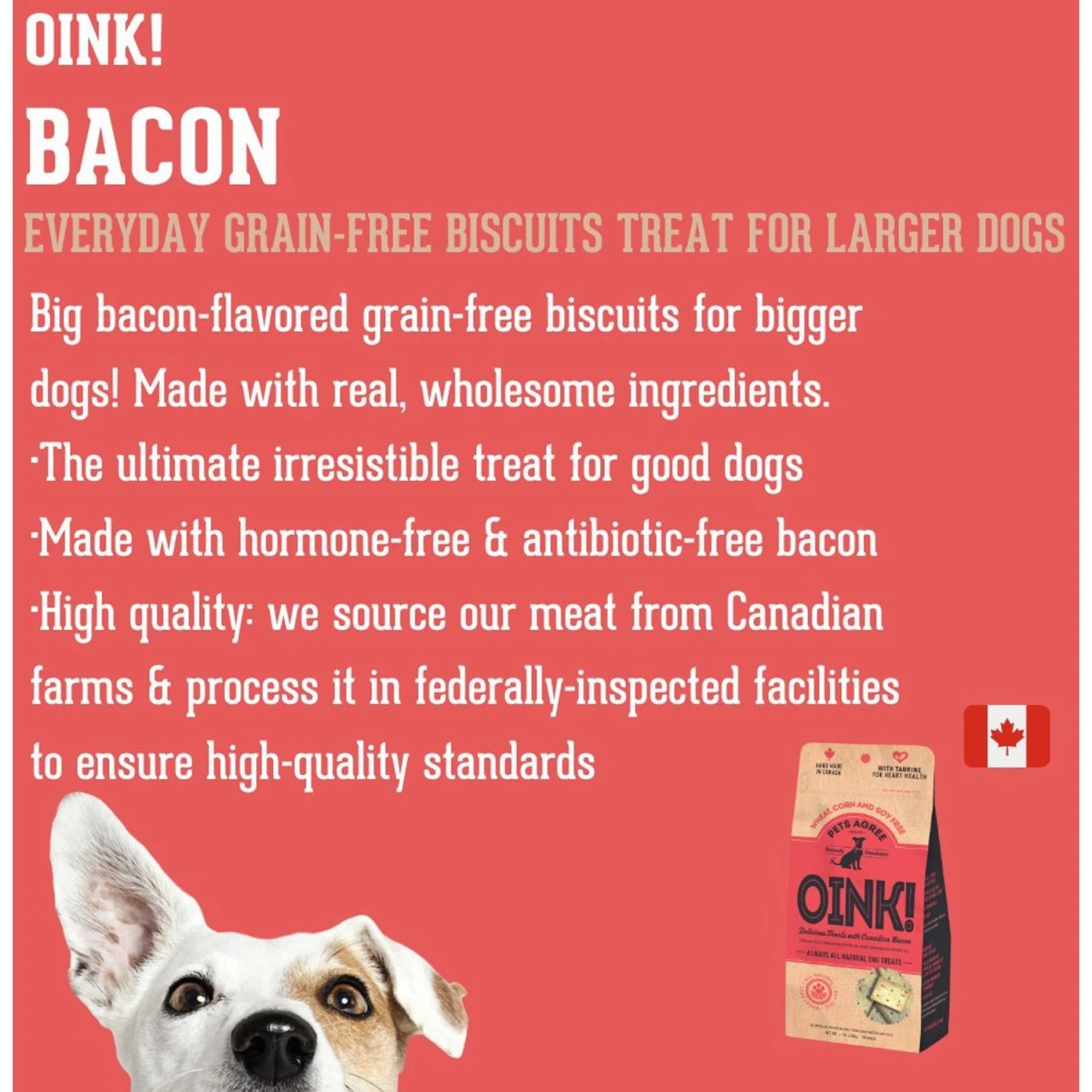 The Granville Island Pet Treatery OINK! Pets Agree Grain-Free Bacon Flavored Dog Treats, 16-oz Bag 5 The Granville Island Pet Treatery OINK! Pets Agree Grain-Free Bacon Flavored Dog Treats, 16-oz Bag - Image 3
