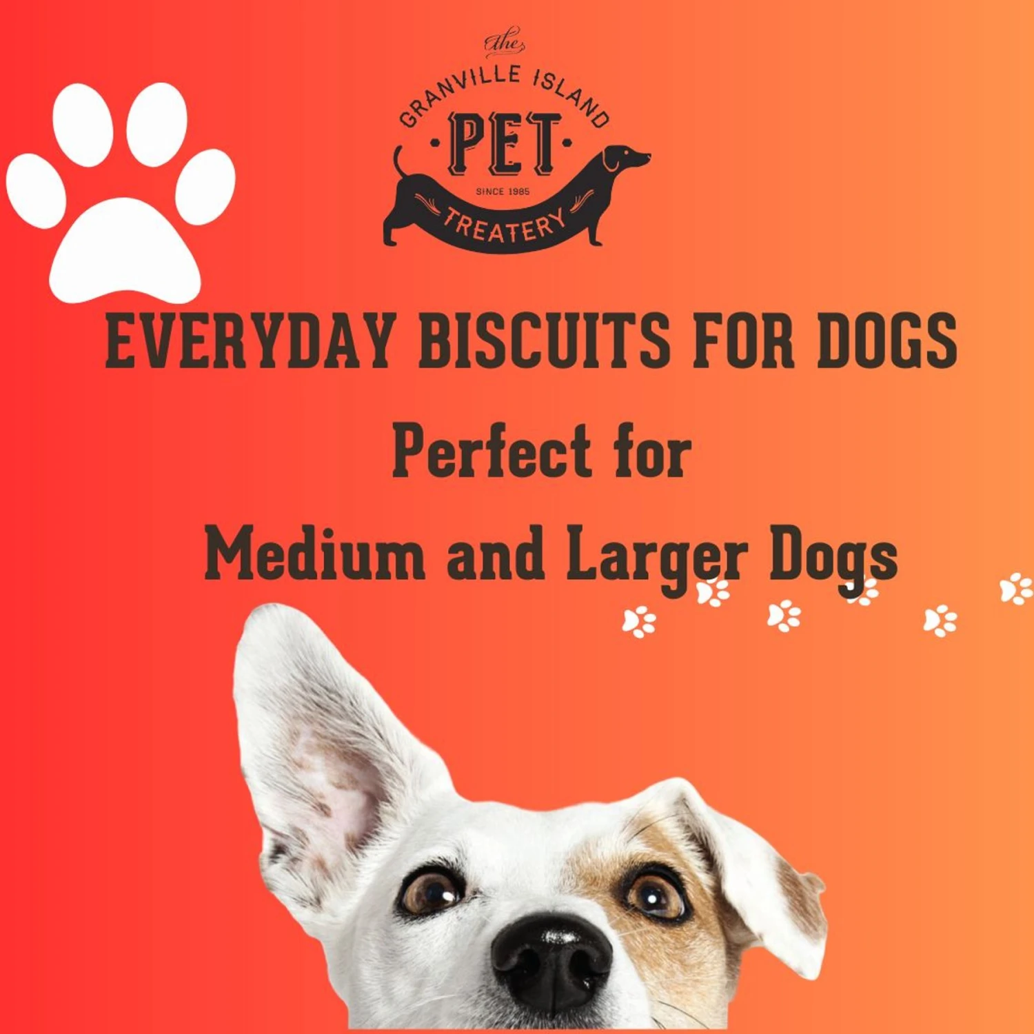 The Granville Island Pet Treatery Oink! Pets Agree Bacon Flavored Dog Treats, 32-oz Bag, Large 6 The Granville Island Pet Treatery Oink! Pets Agree Bacon Flavored Dog Treats, 32-oz Bag, Large - Image 4