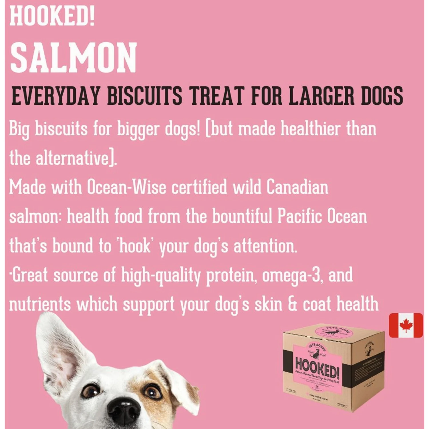 The Granville Island Pet Treatery Hooked! Pets Agree Salmon Flavored Dog Treats, 32-oz Bag, Large 5 The Granville Island Pet Treatery Hooked! Pets Agree Salmon Flavored Dog Treats, 32-oz Bag, Large - Image 3