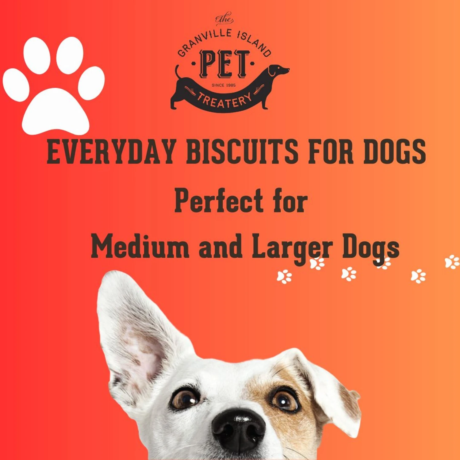 The Granville Island Pet Treatery Hooked! Pets Agree Salmon Flavored Dog Treats, 32-oz Bag, Large 10 The Granville Island Pet Treatery Hooked! Pets Agree Salmon Flavored Dog Treats, 32-oz Bag, Large - Image 8