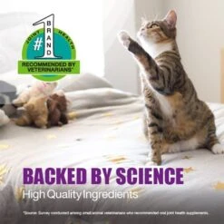 Nutramax Dasuquin Hip & Joint Soft Chews Joint Supplement For Cats -Trixie || Catit || Nature's Miracle Shop 354368 PT3. AC SS1800 V1668637422