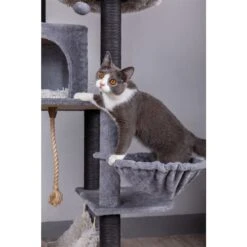 Catry Interactive 7-Level Cat Tree With Condo, Scratching Posts, & Toys -Trixie || Catit || Nature's Miracle Shop 354554 PT3. AC SS1800 V1640317068
