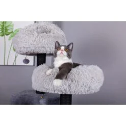 Catry Interactive 7-Level Cat Tree With Condo, Scratching Posts, & Toys -Trixie || Catit || Nature's Miracle Shop 354554 PT5. AC SS1800 V1640316747