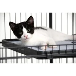 Prevue Pet Products Cat Cage Replacement Shelf -Trixie || Catit || Nature's Miracle Shop 354652 PT2. AC SS1800 V1662060477