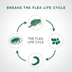 Advantage II Flea Spot Treatment For Cats, 5-9 Lbs, & Ferrets & Advantage Household Spot & Crevice Spray -Trixie || Catit || Nature's Miracle Shop 357279 PT3. AC SS1800 V1651617094