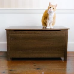 Designer Pet Products Parker Designer Wood Catbox Furniture Litter Box Enclosure, 36-in 16 Designer Pet Products Parker Designer Wood Catbox Furniture Litter Box Enclosure, 36-in -Trixie || Catit || Nature's Miracle Shop 362058 PT5. AC SS1800 V1643214398