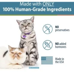 JustFoodForDogs Salmon Bark Dehydrated Cat Treats, 5-oz Bag -Trixie || Catit || Nature's Miracle Shop 368176 PT2. AC SS1800 V1647362783