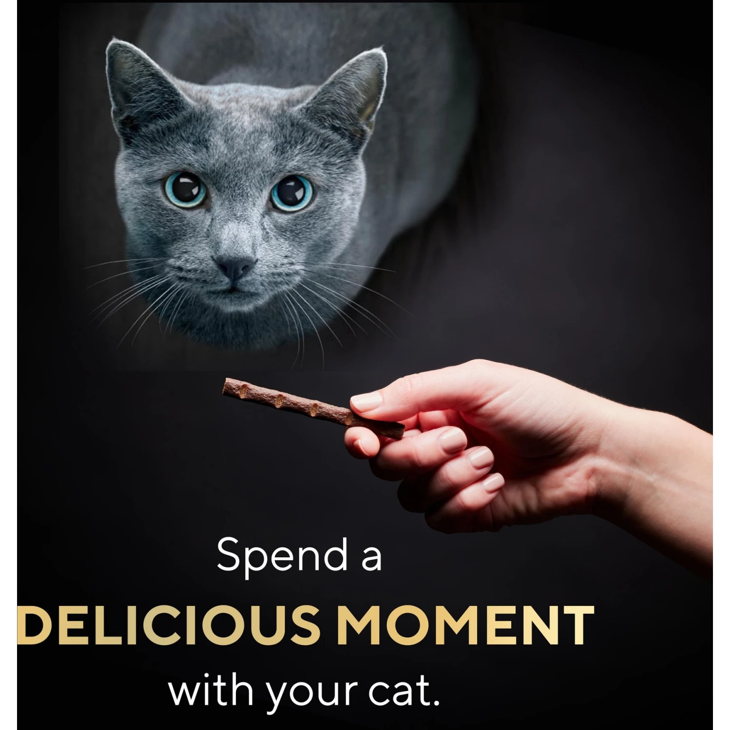 Sheba Meaty Sticks Variety Pack Chicken, Salmon & Tuna Flavor Soft Adult Cat Treats 7 Sheba Meaty Sticks Variety Pack Chicken, Salmon & Tuna Flavor Soft Adult Cat Treats - Image 5