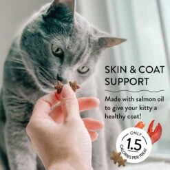 Shameless Pets More Lobster & Cheese Crunchy Cat Treats, 2.5-oz Bag -Trixie || Catit || Nature's Miracle Shop 370158 PT4. AC SS1800 V1695649394