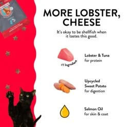 Shameless Pets More Lobster & Cheese Crunchy Cat Treats, 2.5-oz Bag -Trixie || Catit || Nature's Miracle Shop 370158 PT5. AC SS1800 V1695650139
