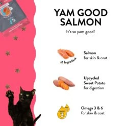 Shameless Pets Yam Good Salmon Crunchy Cat Treats, 2.5-oz Bag -Trixie || Catit || Nature's Miracle Shop 370160 PT5. AC SS1800 V1695653117