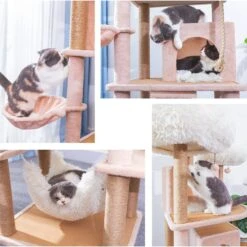 Catry 75-in Scratching Posts Condo Cat Tree, Beige -Trixie || Catit || Nature's Miracle Shop 373043 PT4. AC SS1800 V1647027995