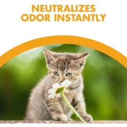 Feline Pine Original Non-Clumping Wood Cat Litter 14 Feline Pine Original Non-Clumping Wood Cat Litter -Trixie || Catit || Nature's Miracle Shop 47407 PT3. AC SS1800 V1663797194