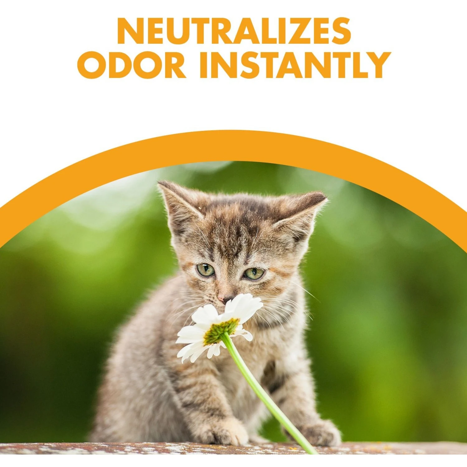 Feline Pine Original Non-Clumping Wood Cat Litter 6 Feline Pine Original Non-Clumping Wood Cat Litter - Image 4