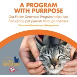 Feline Pine Original Non-Clumping Wood Cat Litter 19 Feline Pine Original Non-Clumping Wood Cat Litter -Trixie || Catit || Nature's Miracle Shop 47407 PT8. AC SS1800 V1663797230