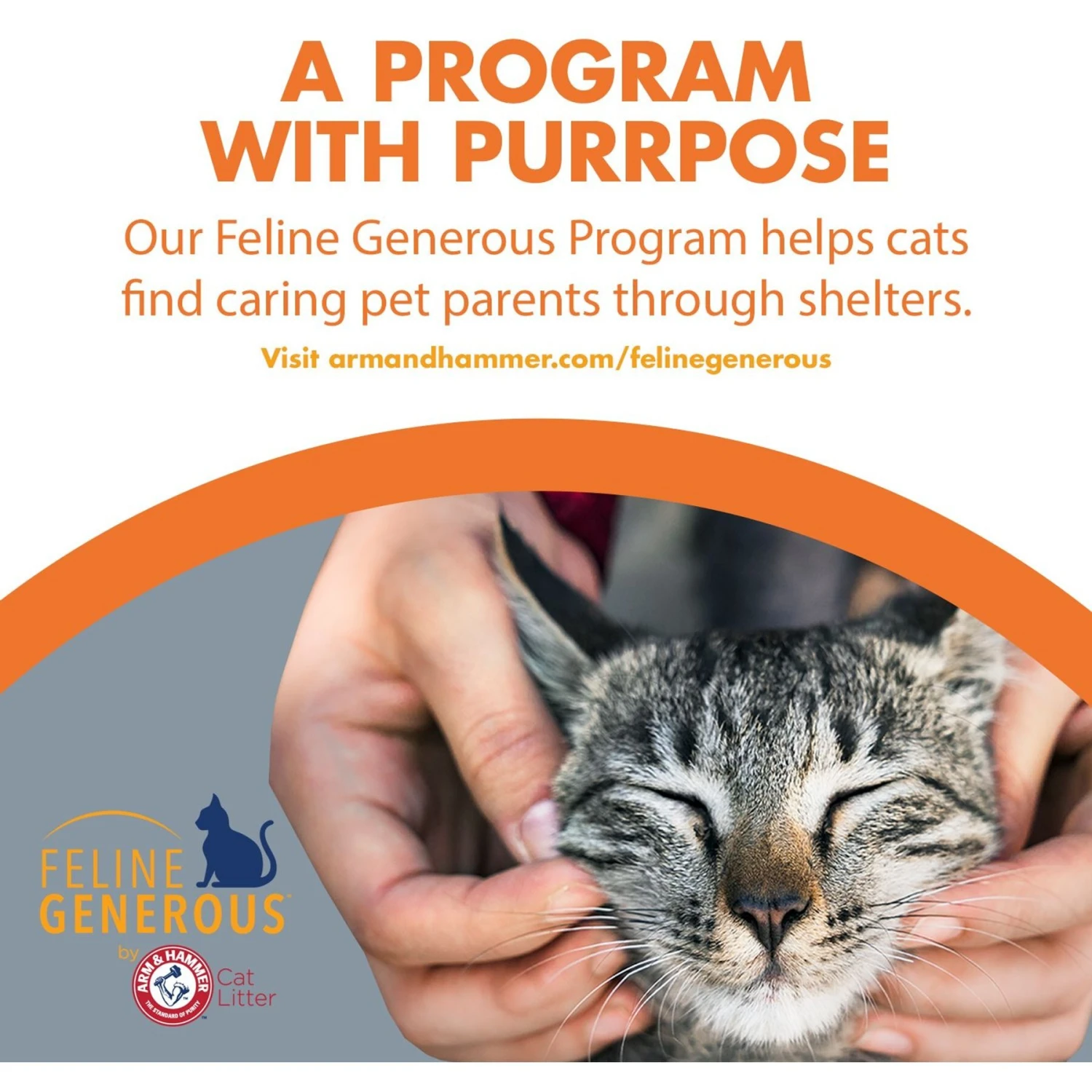 Feline Pine Original Non-Clumping Wood Cat Litter 11 Feline Pine Original Non-Clumping Wood Cat Litter - Image 9