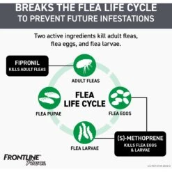 Frontline Plus Flea & Tick Spot Treatment For Cats, Over 1.5 Lbs -Trixie || Catit || Nature's Miracle Shop 47487 PT3. AC SS1800 V1700247390