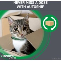 Frontline Plus Flea & Tick Spot Treatment For Cats, Over 1.5 Lbs -Trixie || Catit || Nature's Miracle Shop 47487 PT8. AC SS1800 V1700247384