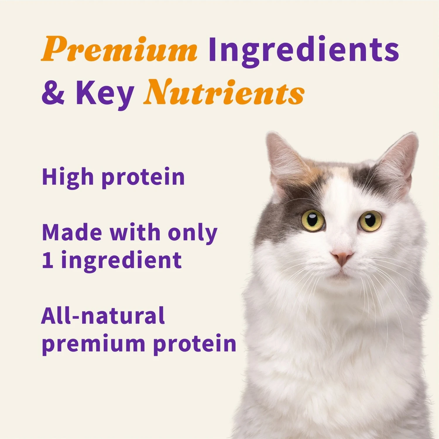 Halo 100% Chicken Breast Freeze-Dried Cat Treats 7 Halo 100% Chicken Breast Freeze-Dried Cat Treats - Image 5