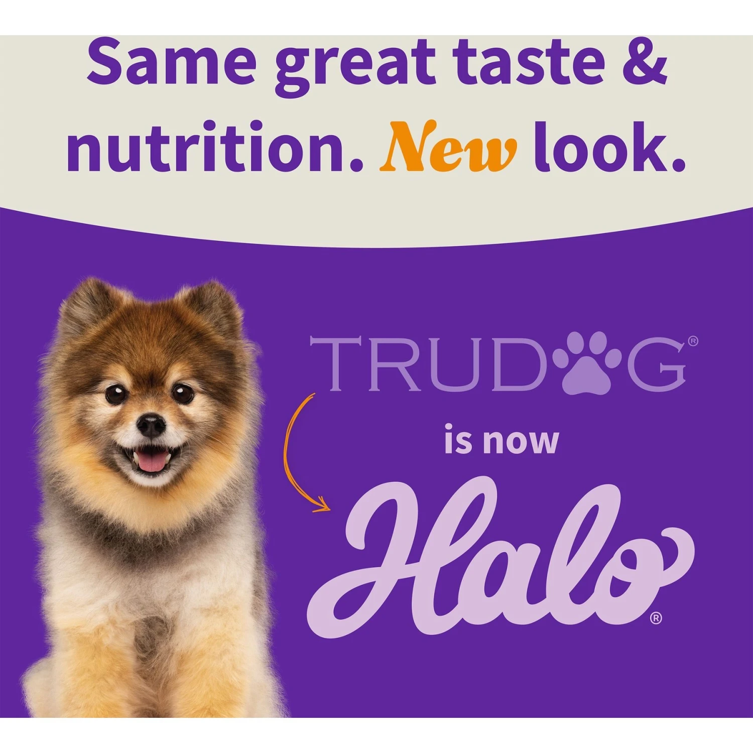 Halo 100% Chicken Breast Freeze-Dried Cat Treats 8 Halo 100% Chicken Breast Freeze-Dried Cat Treats - Image 6