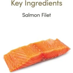 Applaws Tuna Loin Grain-Free Cat Treats, 1.06-oz Loin, Case Of 12 & Applaws Loin Salmon Filet Grain-Free Cat Treats, 1.06-oz Loin, Case Of 12 -Trixie || Catit || Nature's Miracle Shop 502962 PT7. AC SS1800 V1648476098