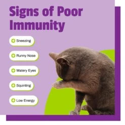 Pet Naturals L-Lysine Cat Chews -Trixie || Catit || Nature's Miracle Shop 50377 PT3. AC SS1800 V1484768854