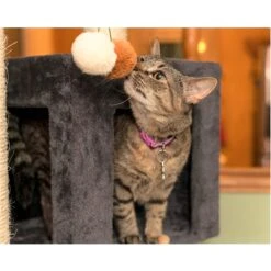 Armarkat Real Wood Giant Cat Tower, Dark Gray, 80-in -Trixie || Catit || Nature's Miracle Shop 515582 PT6. AC SS1800 V1649343397