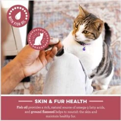 Greenies Feline SmartBites Healthy Skin & Fur Natural Salmon Flavor Soft & Crunchy Adult Cat Treats -Trixie || Catit || Nature's Miracle Shop 52454 PT4. AC SS1800 V1692022540