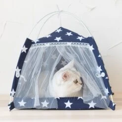 Lovely Caves Stars Dog & Cat Tent, Blue, Medium -Trixie || Catit || Nature's Miracle Shop 525758 PT1. AC SS1800 V1657658482