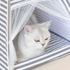 Lovely Caves Stripe Dog & Cat Tent, Gray, Medium -Trixie || Catit || Nature's Miracle Shop 525774 PT3. AC SS1800 V1658191420