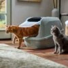 Frisco Mega Deluxe Litter Box 1 Frisco Mega Deluxe Litter Box -Trixie || Catit || Nature's Miracle Shop 526526 MAIN. AC SS1800 V1659623787