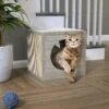 Way Basics 12.6-in Katsquare Cube Scratching Post -Trixie || Catit || Nature's Miracle Shop 530438 MAIN. AC SS1800 V1651684296