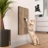 Way Basics Katwall Wall Scratching Post With Catnip 2 Way Basics Katwall Wall Scratching Post With Catnip -Trixie || Catit || Nature's Miracle Shop 530558 MAIN. AC SS1800 V1651684587