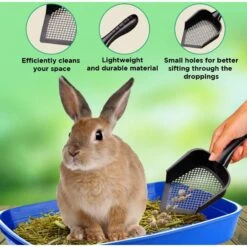SunGrow Corner Box Clumping Fine Sand Cat Litter Scooper -Trixie || Catit || Nature's Miracle Shop 536566 PT2. AC SS1800 V1657658870