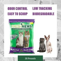 Fresh News Non-Clumping Scented Paper Cat Litter, 25-lb Bag 16 Fresh News Non-Clumping Scented Paper Cat Litter, 25-lb Bag -Trixie || Catit || Nature's Miracle Shop 539206 PT5. AC SS1800 V1667519110