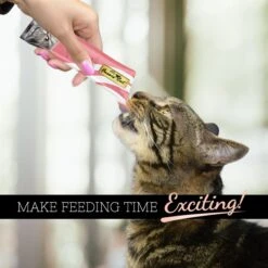 Fussie Cat Chicken & Beef Puree Lickable Cat Treats, 2-oz Pouch 12 Fussie Cat Chicken & Beef Puree Lickable Cat Treats, 2-oz Pouch -Trixie || Catit || Nature's Miracle Shop 549390 PT4. AC SS1800 V1657749126