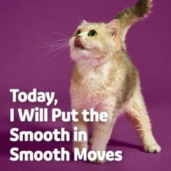 Vibeful Probiotic Gastrointestinal Support Powder Digestive Supplement For Cats -Trixie || Catit || Nature's Miracle Shop 574246 PT6. AC SS1800 V1669760969