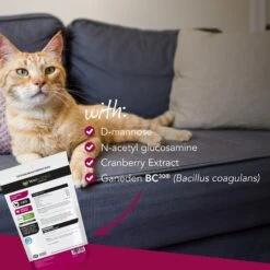 VetriScience UT Strength Feline Chicken Liver Flavored Soft Chews Urinary Supplement For Cats 9 VetriScience UT Strength Feline Chicken Liver Flavored Soft Chews Urinary Supplement For Cats -Trixie || Catit || Nature's Miracle Shop 57626 PT3. AC SS1800 V1658942906